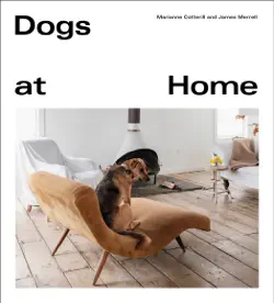 dogs at home book cover image