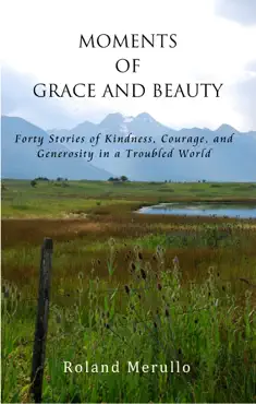 moments of grace and beauty book cover image