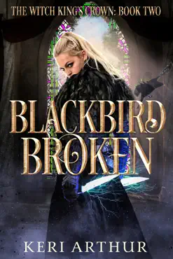 blackbird broken book cover image