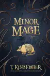 Minor Mage synopsis, comments