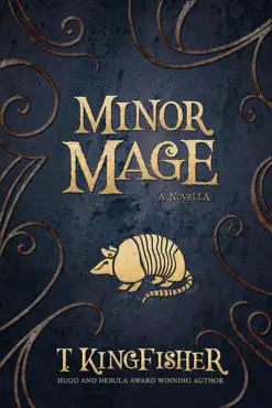minor mage book cover image