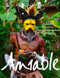 amiable book cover image