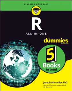 r all-in-one for dummies book cover image