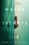 Where Secrets Lie synopsis, comments