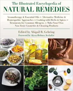 the illustrated encyclopedia of natural remedies book cover image