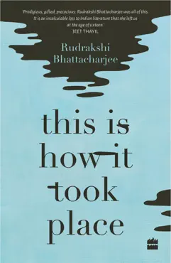 this is how it took place book cover image