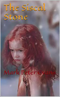 siscal stone book cover image