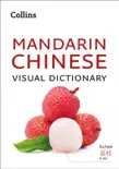 Mandarin Chinese Visual Dictionary synopsis, comments