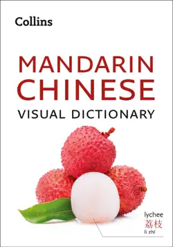 mandarin chinese visual dictionary book cover image