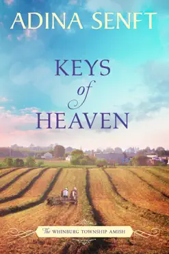 keys of heaven book cover image