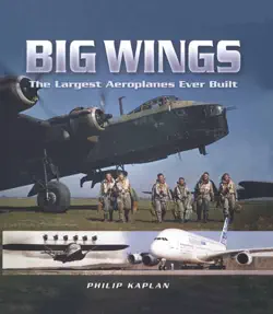 big wings book cover image