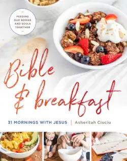 bible and breakfast book cover image