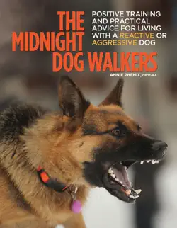 the midnight dog walkers book cover image