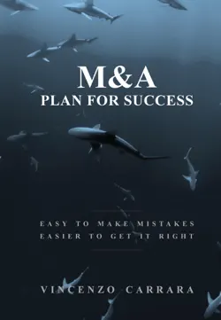 m&a plan for success imagen de la portada del libro