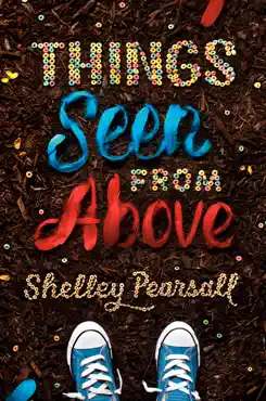 things seen from above book cover image