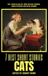 7 best short stories - Cats sinopsis y comentarios