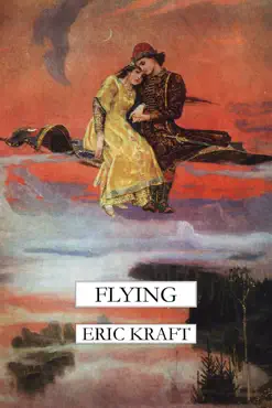 flying book cover image