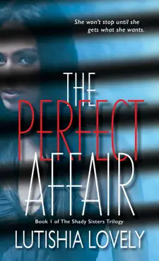 the perfect affair book cover image
