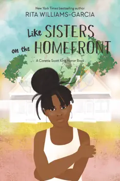 like sisters on the homefront book cover image
