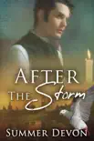 After the Storm synopsis, comments