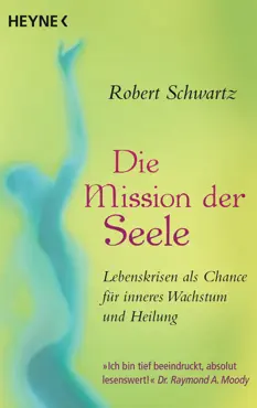 die mission der seele book cover image