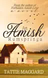 An Amish Rumspringa synopsis, comments