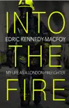 Into the Fire synopsis, comments