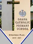 Strategic Plan 2019-2021 synopsis, comments