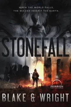 stonefall book cover image