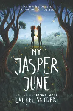 my jasper june book cover image