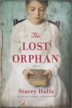 the lost orphan book cover image