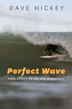 perfect wave book cover image