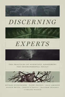 discerning experts book cover image