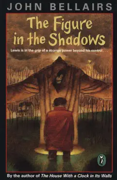 the figure in the shadows book cover image