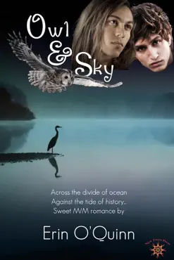 owl and sky book cover image