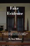 Fake Evidence sinopsis y comentarios
