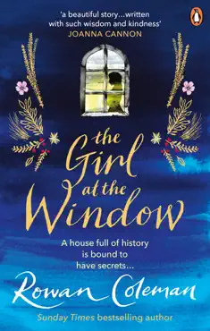 the girl at the window imagen de la portada del libro