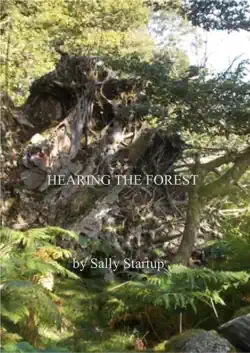 hearing the forest book cover image