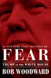 Fear synopsis, comments