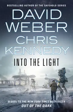 into the light book cover image