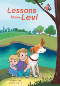lessons from levi book cover image
