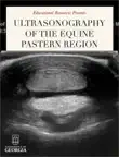 Ultrasonography of the equine pastern region synopsis, comments