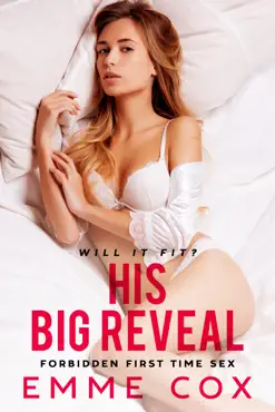 his big reveal book cover image