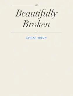 beautifully broken book cover image