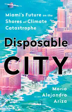 disposable city book cover image