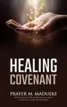 Healing Covenant synopsis, comments