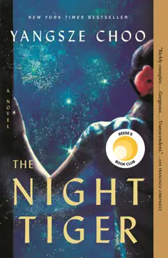 the night tiger book cover image