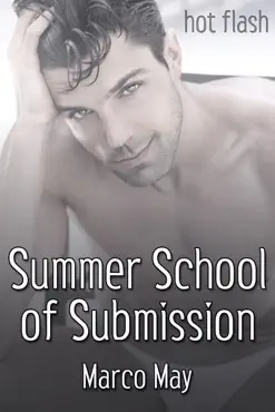 summer school of submission book cover image