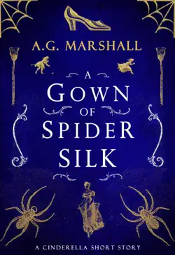 a gown of spider silk book cover image