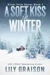 A Soft Kiss In Winter synopsis, comments